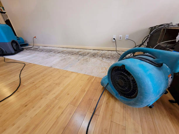 Professional Flood Damage Cleanup technician working in Florissant, MO